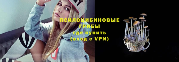 дмт Козельск
