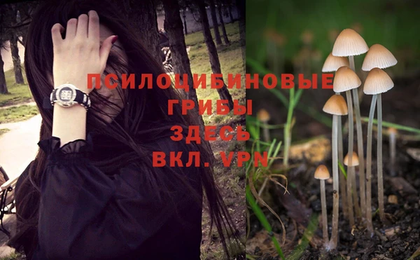 мяу мяу кристалл Козловка
