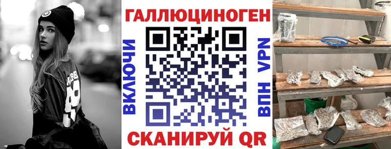 Галлюциногенные грибы Psilocybine cubensis  Купить  Лермонтов 